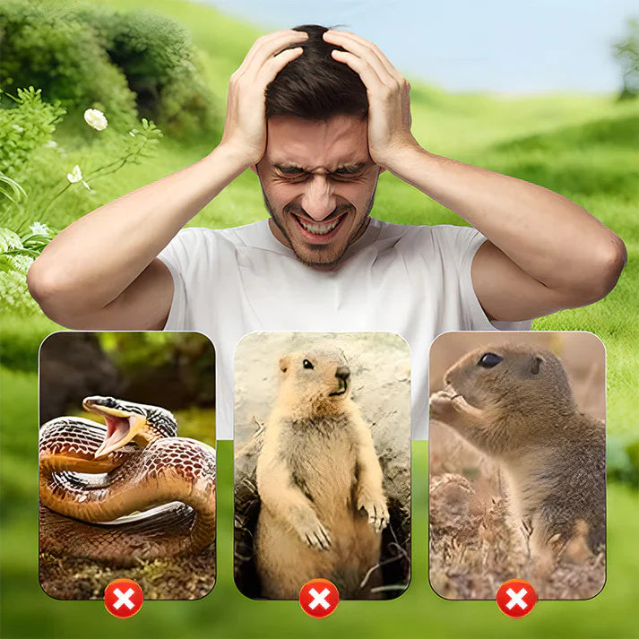 Répulsif solaire étanche contre les souris — Offre spéciale : Achetez 5, recevez 5 gratuits !