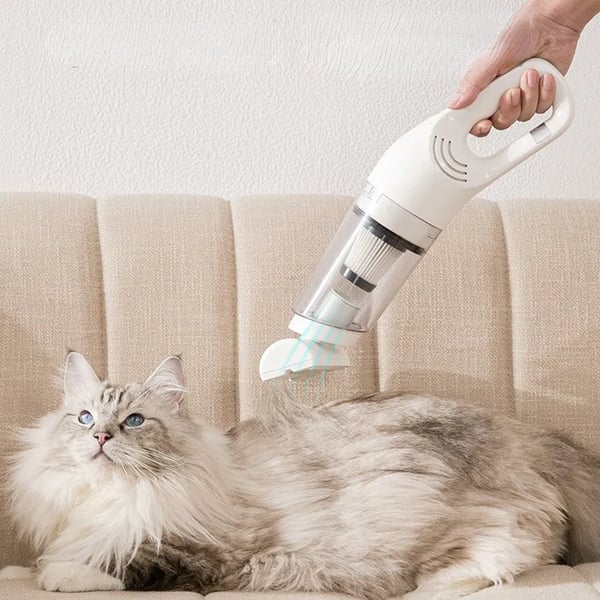 🔥 Aspirateur à main pour animaux domestiques — léger et portable — 3 accessoires inclus — Profitez de 50 % de réduction dès maintenant
