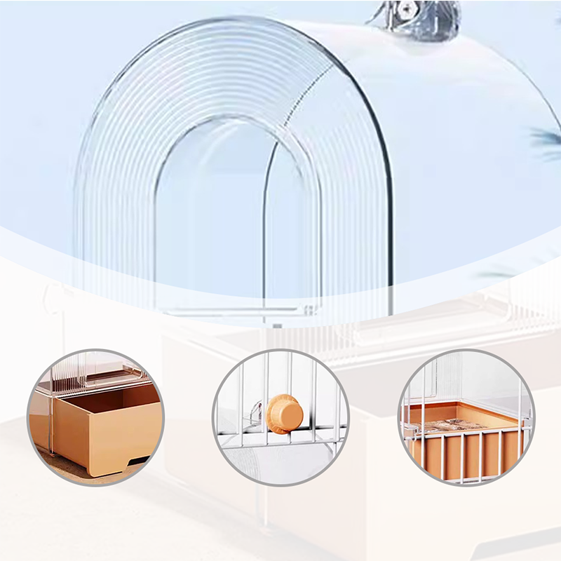 Bassin 2-en-1 pour le bain et l’alimentation des perroquets — pratique et polyvalent