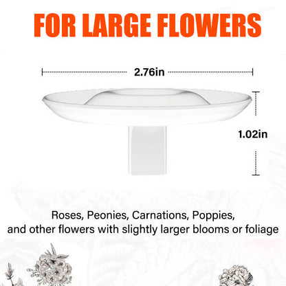 Support Créatif pour Composition Florale Flottante – Élégance Aérienne et Décor Aquatique