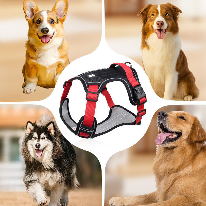 📢📢54 % DE RÉDUCTION !! ⏰Harnais anti-traction pour chien avec laisse et collier à LED