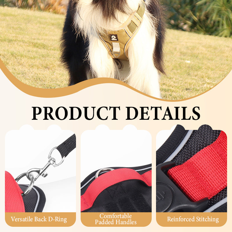 📢📢54 % DE RÉDUCTION !! ⏰Harnais anti-traction pour chien avec laisse et collier à LED