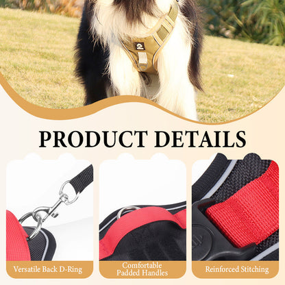 📢📢54 % DE RÉDUCTION !! ⏰Harnais anti-traction pour chien avec laisse et collier à LED